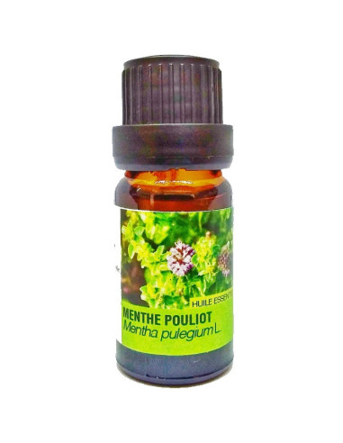 Huile Essentielle de Menthe Pouliot - Prodigia cosmetics