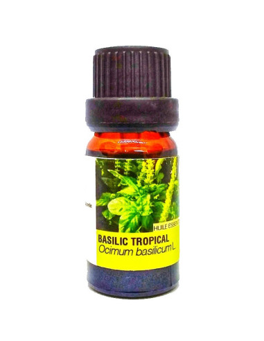 Huile Essentielle BASILIC TROPICAL 10 ml