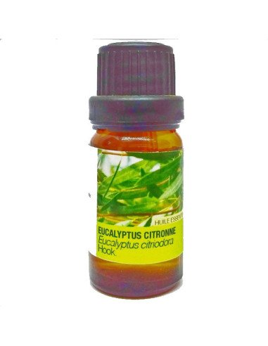 almaflore huile essentielle de eucalyptus citronne 10ml – Le Coin Para
