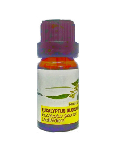 Huile essentielle d'Eucalyptus Globulus Bio 30ml 10 ml, 30 ml
