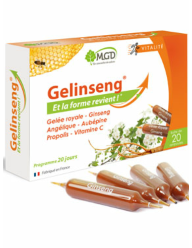 GELINSENG 20 Ampoules MGD