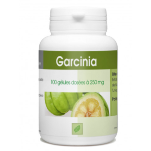 GARCINIA 100 Gélules GPH...